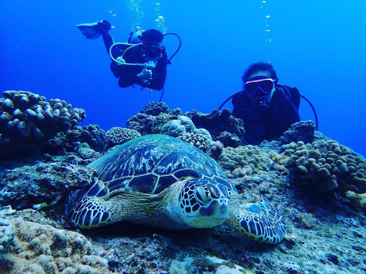 Good Hostel 好棧 Green Island Екстериор снимка